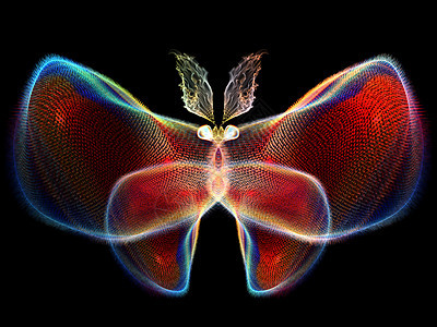 真实的蝴蝶系列抽象蝴蝶元素的想象自然图片