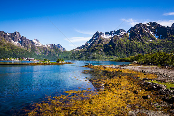 洛芬岛挪威诺德兰县的个群岛以独特的风景而闻名,戏剧的山脉山峰,开阔的大海庇护的海湾,海滩未触及的土地图片