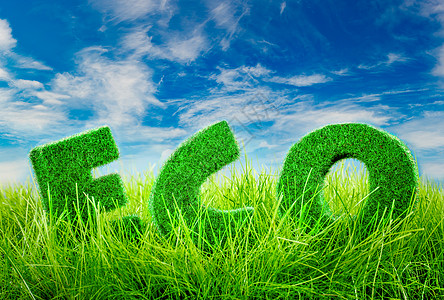 蓝天背景上绿色草地上的字母生态图片