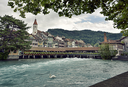 图恩市河流阿雷,瑞士20177月23日图片