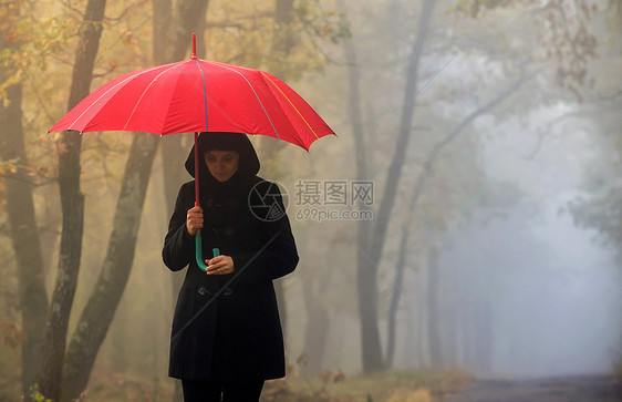 沮丧的女人带着红色的伞雾蒙蒙的森林图片