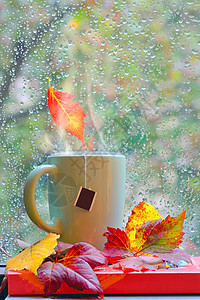秋天的雨窗里热茶书图片