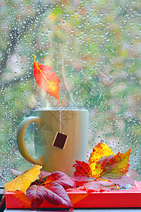 秋天的雨窗里热茶书图片