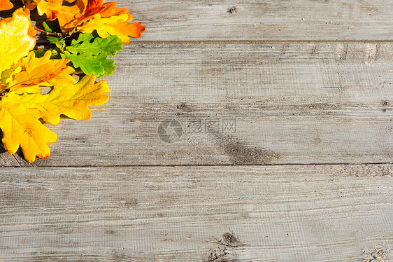 秋天的叶子桌子上木桌上的绿色黄色红色的秋叶图片