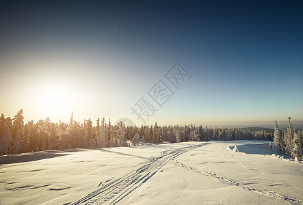 仙女般的冬季景观,雪覆盖着树木奇妙的冬季景观戏剧的阴天美丽的世界多雪的森林图片