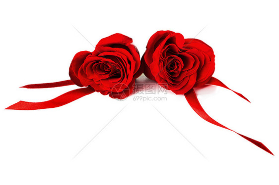 两朵心形的红色玫瑰丝带白色背景上分离,情人节图片