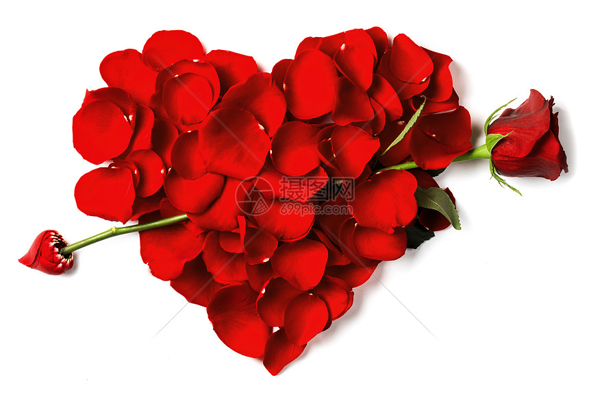 红色玫瑰花瓣的心玫瑰箭头刺穿白色背景上分离的花瓣心脏图片