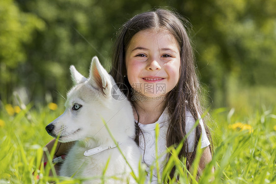 带着哈士奇小狗的小女孩带着哈士奇小狗的小女孩夏天的草地上撒着蒲公英图片