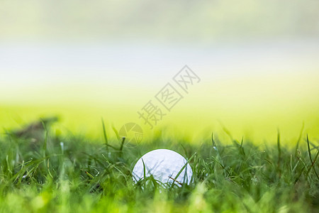绿色草地上的高尔夫球近景高尔夫球场绿草地上的高尔夫球与合作图片