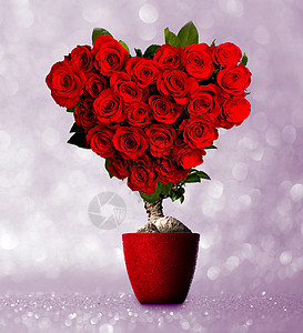 心形玫瑰心形的红色玫瑰粉红色闪光背景的树上图片