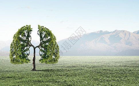 空气污染绿色树的图像,形状像人类的肺图片