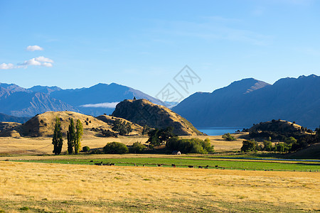 风景如画新西兰阿尔卑斯山田野的自然景观图片