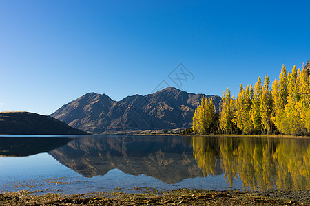 风景如画新西兰阿尔卑斯山湖泊的自然景观图片