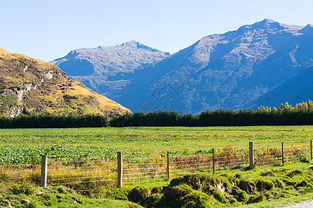 风景如画新西兰阿尔卑斯山道路的自然景观高清图片