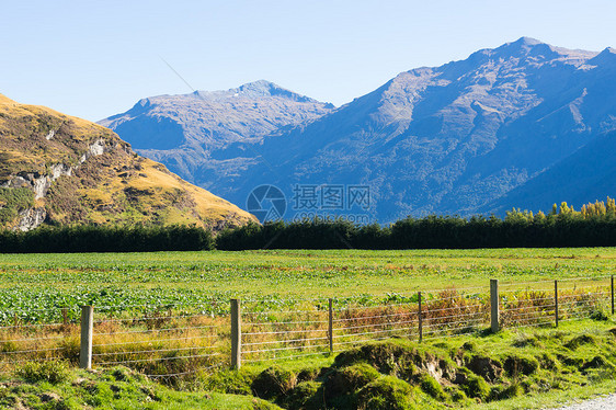 风景如画新西兰阿尔卑斯山道路的自然景观图片