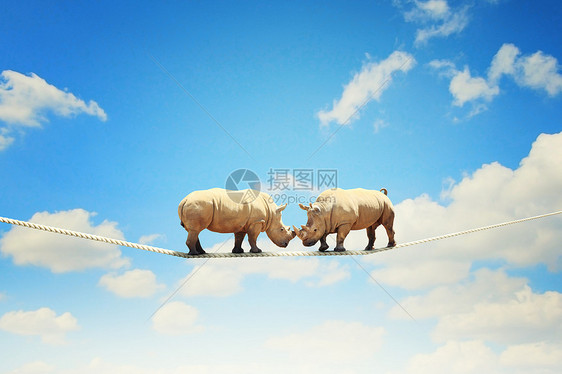 两只犀牛绳子上行走两只犀牛高空绳子上挣扎的形象图片
