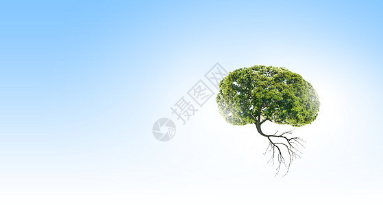 空气污染绿色树的形象,形状像大脑图片