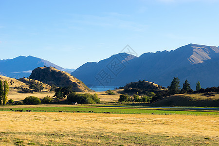 风景如画新西兰阿尔卑斯山田野的自然景观图片