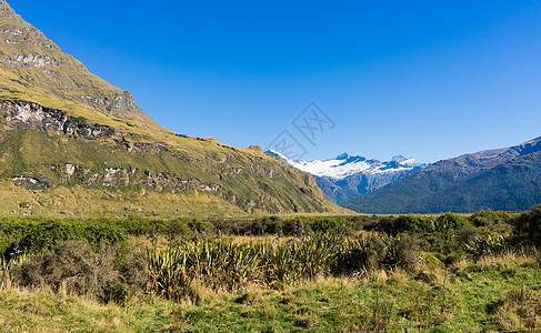 风景如画新西兰阿尔卑斯山草地的自然景观图片