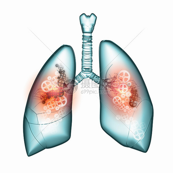 人类的肺机制的人肺健康医学图片