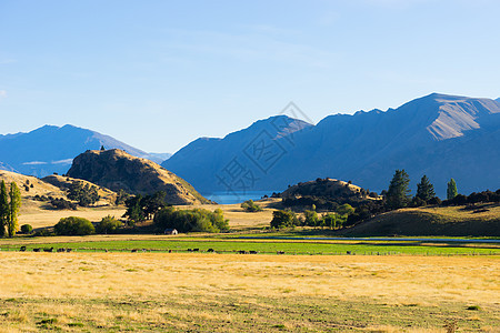 风景如画新西兰阿尔卑斯山田野的自然景观图片