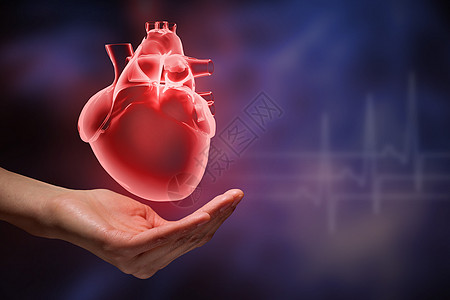 心脏护理的紧紧握住人类的手,握住人类的心背景图片