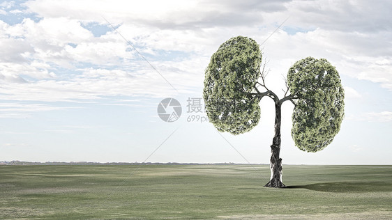 空气污染绿色树的图像,形状像人类的肺图片