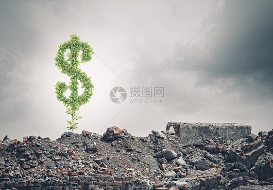 储蓄绿色美元标志废墟上生长的形象图片