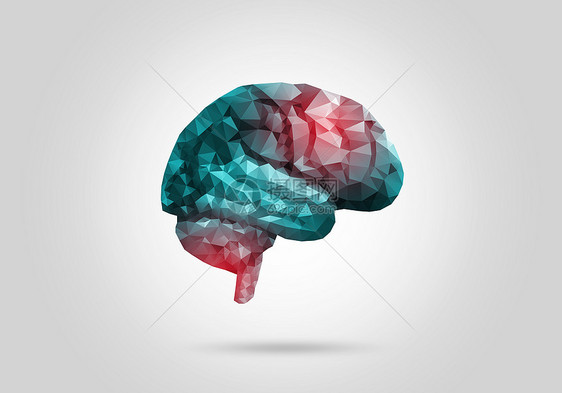 数字人脑白色背景上的数字蓝格大脑图片