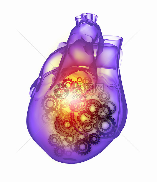 人类的心脏机制的人类心脏图像健康医学图片