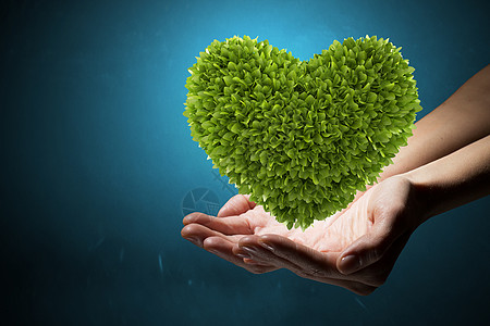 绿色的心手中绿色心脏人类手中代表生态健康理念图片
