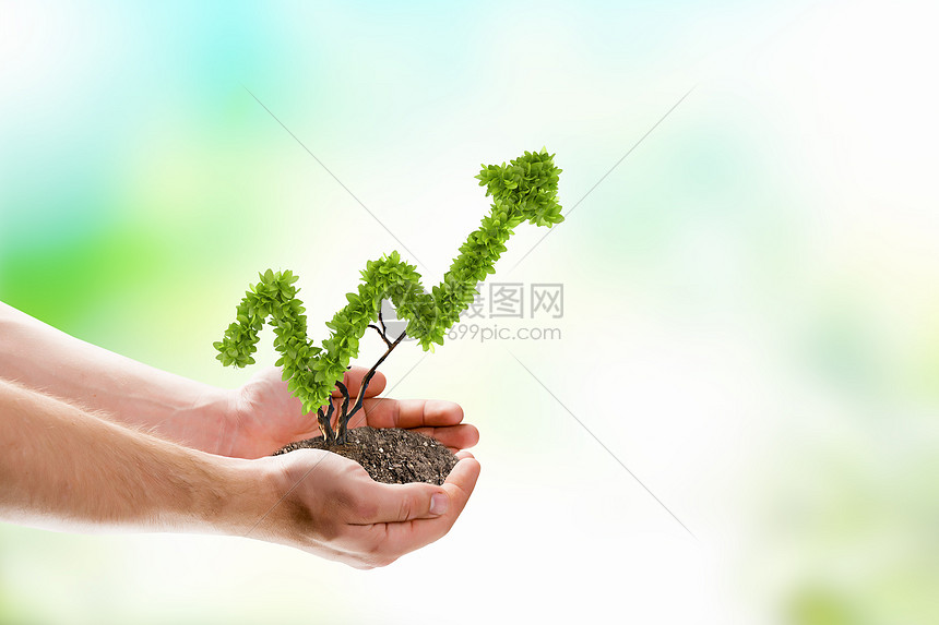 增长人的手着形状像箭头的植物的图像图片