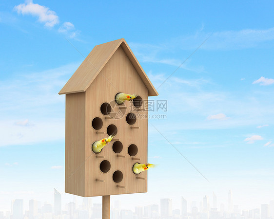 用于友好生活的公寓图像与筑巢箱许多鸟类生活其中图片