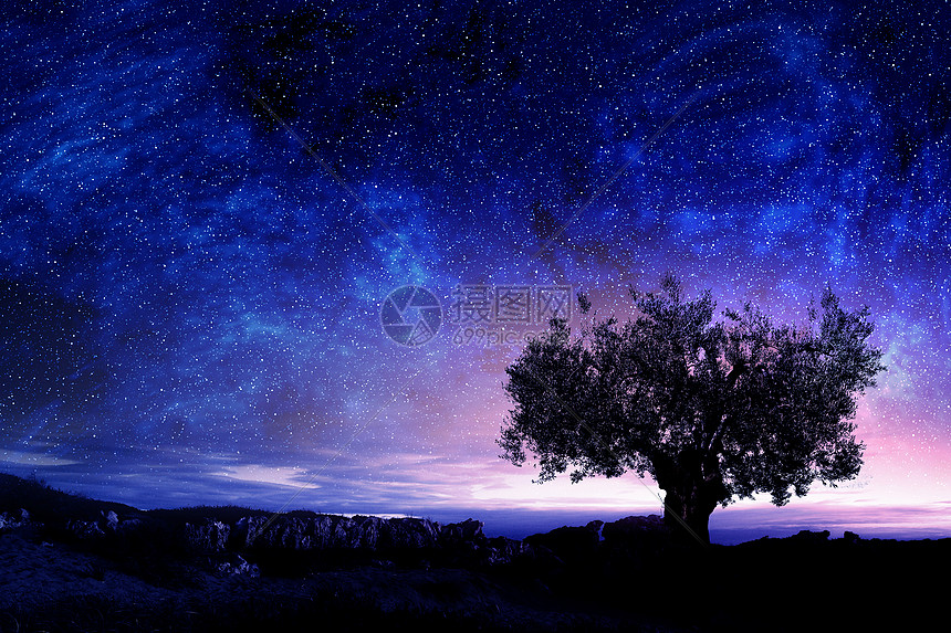 夜景风景如画星空浓密的树岩石中高清图片下载 正版图片 摄图网 夜景风景如画星空浓密的树岩石中高清图片下载 正版图片 摄图网