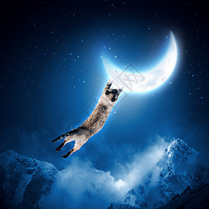 猫抓月亮猫跳跃捕捉月亮中的形象背景图片