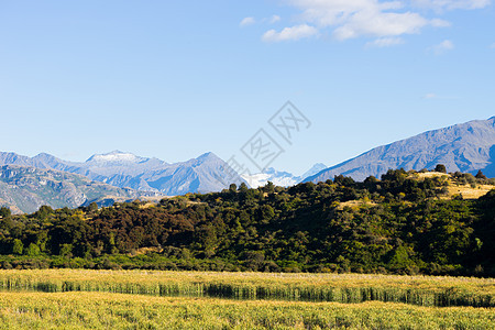 风景如画新西兰阿尔卑斯山田野的自然景观图片