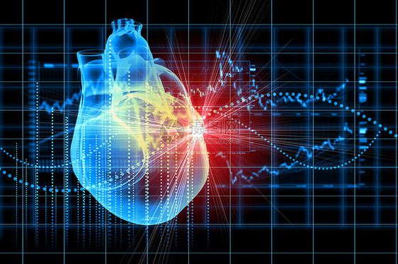 人类的心跳心脏图的虚拟图像图片