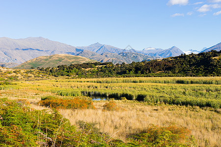 风景如画新西兰阿尔卑斯山田野的自然景观背景图片