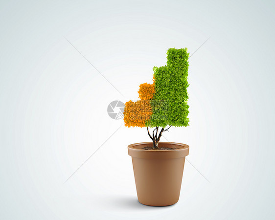 增长植物盆栽形状像图财富图片