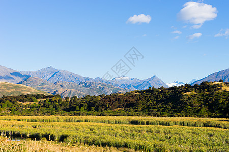 风景如画新西兰阿尔卑斯山田野的自然景观图片