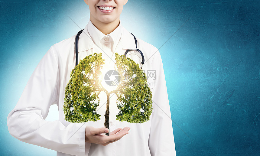 健康的肺特写女医生手里着绿树图片