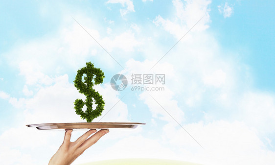 服务货币侍者着绿色美元托盘的手图片