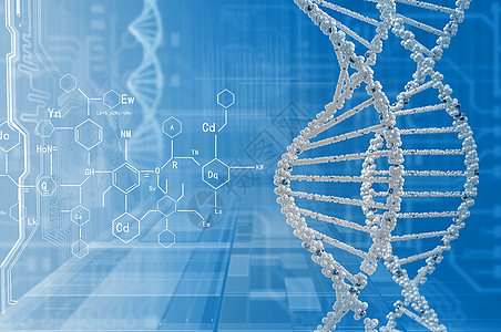 DNA分子高科技DNA分子的生物化学背景图片