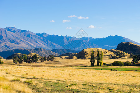 风景如画新西兰阿尔卑斯山田野的自然景观背景图片