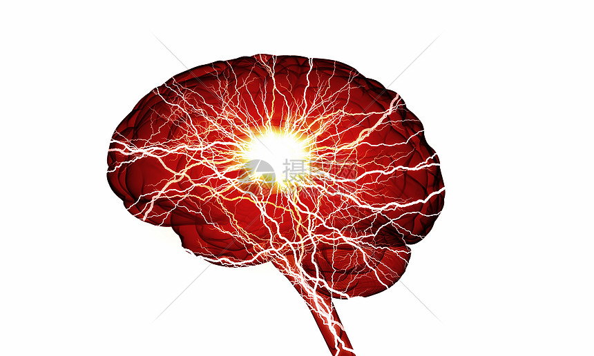 数字人脑白色数字背景下人脑的人类智能图片