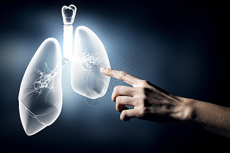 肺的健康近距离接触肺征图片