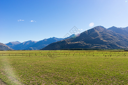 风景如画新西兰阿尔卑斯山田野的自然景观背景图片