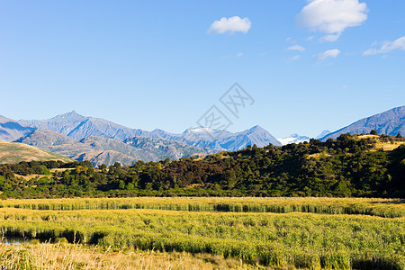 风景如画新西兰阿尔卑斯山田野的自然景观图片