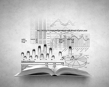 收入图表用商业草图市场打开了本书图片