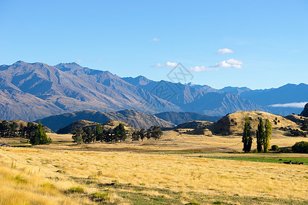 风景如画新西兰阿尔卑斯山田野的自然景观背景图片